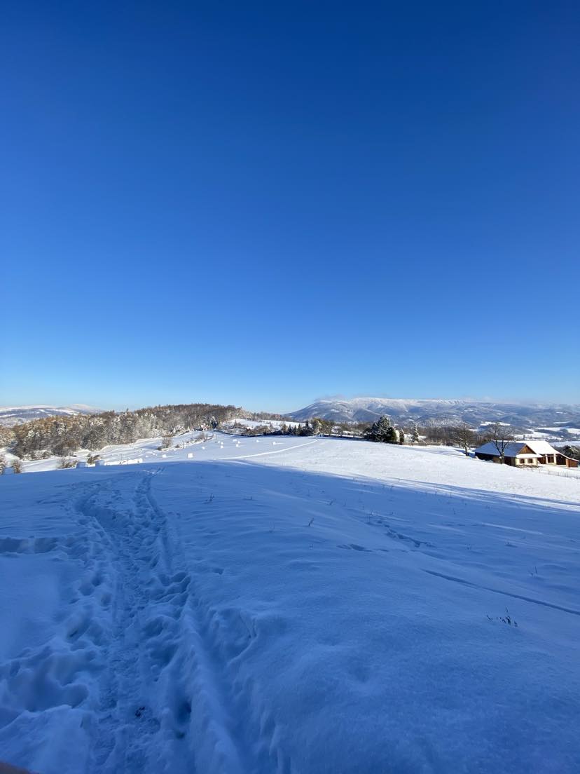 Viewpoint on the way